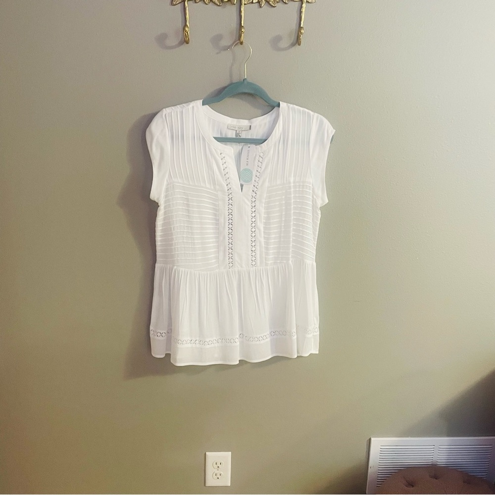 Pale Sky from Stitch Fix Imen Pleat Detail Top